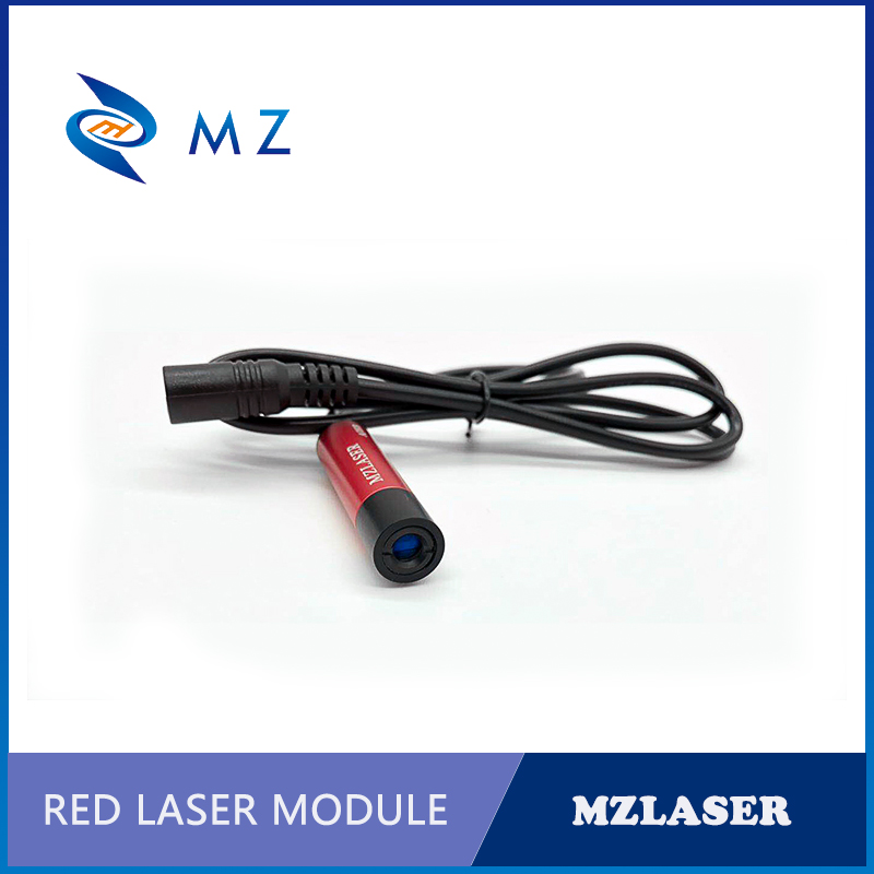 Modul Laser Titik Merah Indust - Industrial Laser Pointer ulasan dan harga